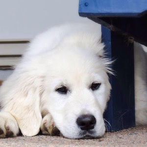 Meet your Posher, Christine